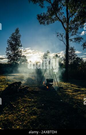 Pot heating over campfire in sunny tranquil woods Stock Photo