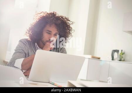 Focused young man working at laptop Stock Photo