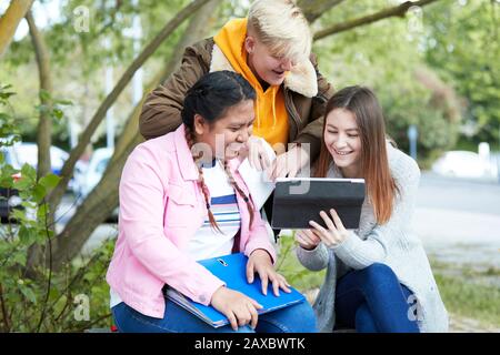College students with digital tablet studying in park Stock Photo