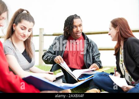 Young college students studying together Stock Photo