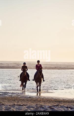Two Women Horseback Riding in a Field with Bales of Hay Stock Photo - Alamy
