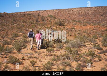 Safari tour guide leading group along sunny grassland South Africa Stock Photo