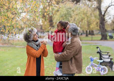 Grandparents with granddaughter in autumn park Stock Photo