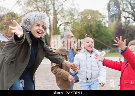 Playful grandparents and grandchildren playing with bubbles in park Stock Photo