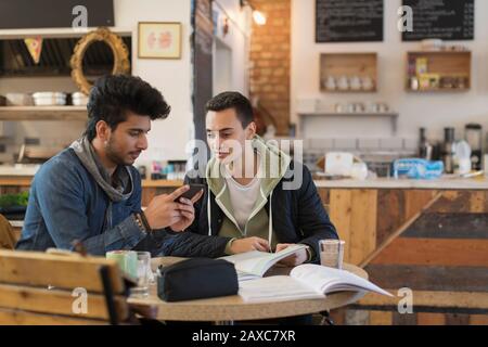 Young male college students studying in cafe Stock Photo