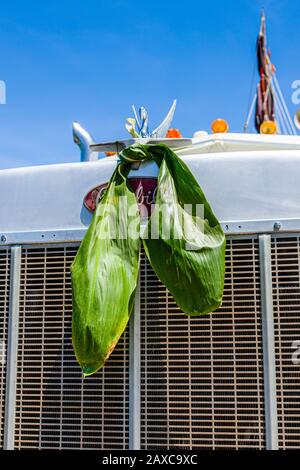 Mo‘okiha O Pi‘ilani: Launch Morning Stock Photo