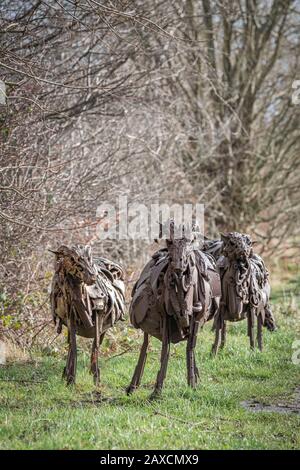 Sally Matthew’s flock of Swaledale Sheep. Constructed from recycled industrial scrap located on The Spen Valley Greenway Cycle Network. Stock Photo