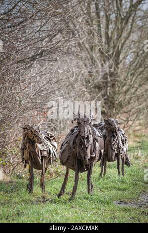 Sally Matthew’s flock of Swaledale Sheep. Constructed from recycled industrial scrap located on The Spen Valley Greenway Cycle Network. Stock Photo