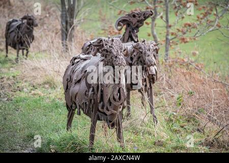 Sally Matthew’s flock of Swaledale Sheep. Constructed from recycled industrial scrap located on The Spen Valley Greenway Cycle Network. Stock Photo