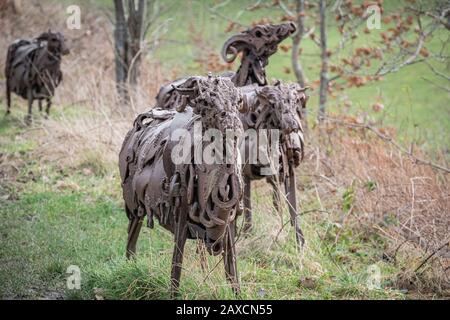 Sally Matthew’s flock of Swaledale Sheep. Constructed from recycled industrial scrap located on The Spen Valley Greenway Cycle Network. Stock Photo