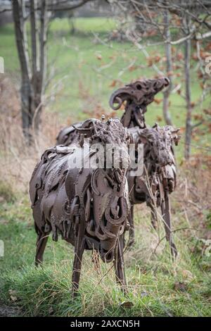 Sally Matthew’s flock of Swaledale Sheep. Constructed from recycled industrial scrap located on The Spen Valley Greenway Cycle Network. Stock Photo