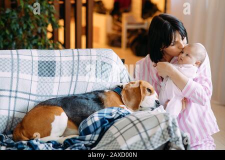 A mother in pajamas holds a baby in her arms and kisses him next to a lying on sofa dog. Stock Photo