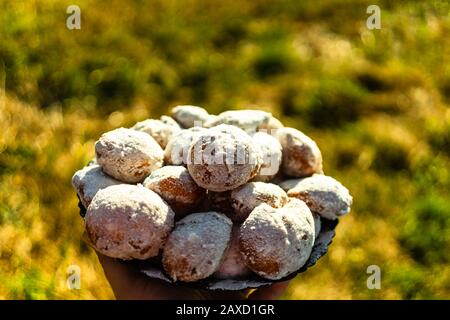 Close-up of a person holding a plate with sugar donuts on a blurred background. Detail of sugar donuts snack, food concept Stock Photo