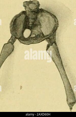 The practice of obstetrics, designed for the use of students and practitioners of medicine . Stock Photo