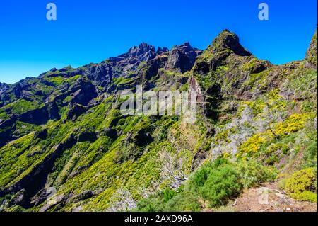 Beautiful hiking trail from Pico do Arieiro to Pico Ruivo, Madeira island. Footpath PR1 - Vereda do Areeiro. On sunny summer day above the clouds. Por Stock Photo