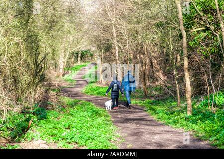 Couple walking their dog on a wooded path on a bright February day. Stock Photo