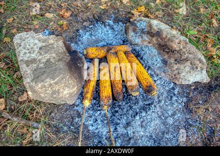 picnic with tasty corns on the coals Stock Photo