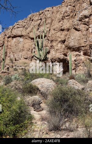 A mountainous, desert landscape in Superior, Arizona Stock Photo