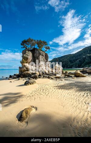 Young man standing on a rock, overgrown rock on the beach of Stillwell Bay, Abel Tasman National Park, Tasman, South Island, New Zealand Stock Photo