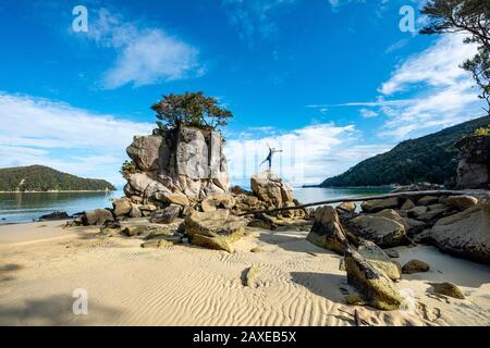 Young man standing with outstretched arms on a rock, overgrown rock on the beach of Stillwell Bay, Abel Tasman National Park, Tasman, South Island Stock Photo