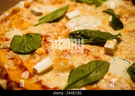 Three cheese thin crust freshly baked pizza with basil leaves on top on a wooden table close-up shot Stock Photo