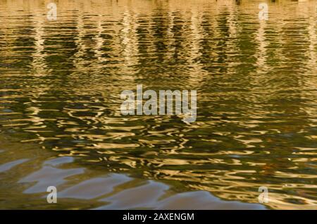 Natural texture: lines that are reflected in moving water Stock Photo
