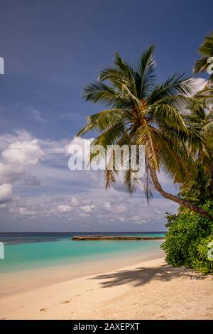 A gorgeous blue sky day with palm trees, white sand and a turquoise sea at the W Hotel in the Maldives Stock Photo