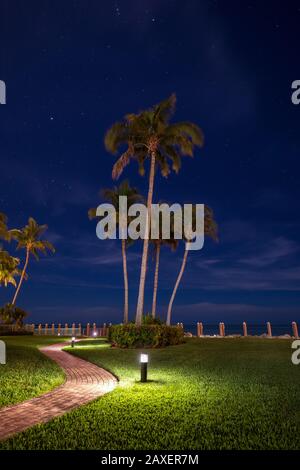 Palm trees under the starry sky in a beautiful tourist destination, Marco island on the gulf of Mexico with a sky filled wit stars Stock Photo