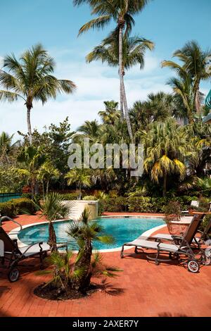 Luxury lifestyle patio of a Florida beachfront villa. Garden with pool under the palm trees. Stock Photo