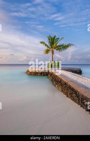 A portrait of a lone palm tree sits on the end of a pier at the stunning W Hotel in the Maldives Stock Photo