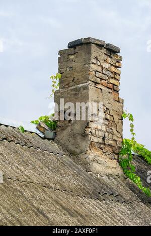 Slate roof detail of old house and the decayed plastered brick chimney are overgrown with green climbers. With copy space Stock Photo