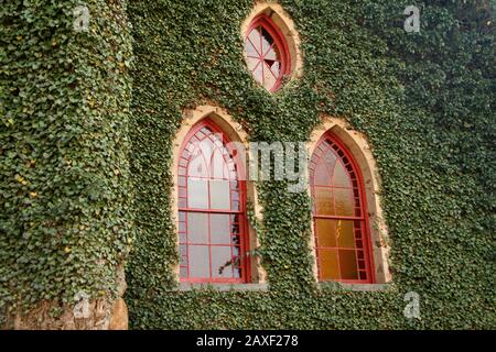 Stained glass windows and ivy covered exterior walls of the Rehoboth Rock Church/ Rehoboth Mennonite Church in Schuyler, VA, USA Stock Photo