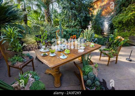 https://l450v.alamy.com/450v/2axf2ky/dining-room-with-table-and-chairs-in-the-giant-houseplant-takeover-an-event-held-in-the-glasshouse-at-rhs-gardens-wisley-surrey-uk-2axf2ky.jpg