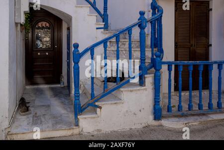2 cats laying down on stairs with blue railing in front of a traditional Greek house in Skala Eressos on the island of Lesvos Stock Photo