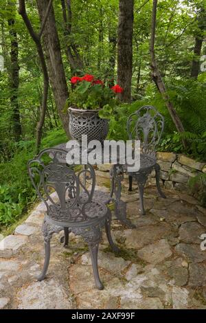 Dark grey cast iron metal bistro style chairs and table decorated with planter of red Pelargonium - Geraniums and Pteridophyta - Fern plants. Stock Photo