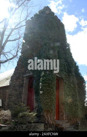 Tower of Rehoboth Rock Church/ Rehoboth Mennonite Church in Schuyler, VA, USA. Exterior walls covered in English Ivy. Stock Photo