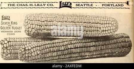 Lilly's complete annual : seeds fertilizers spray materiels poultry supplies stock foods bee supplies . THE CHAS. H. LILLY CO. Silver KinsGolden Nugget. Stock Photo