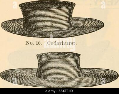 Price list. rays Rhinestones Bandeaux and Jets.Rhinestone Ornaments 21 fine brilliants ineach button 25c. Trimmed Hats 3.50 upwards. Untrimmed Hats. Embracing all the grades known to the trade both fo...