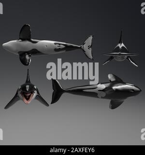 Killer whale of background, 3d rendering Stock Photo - Alamy