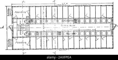 Poultry culture sanitation and hygiene . Fig. 178.—A large brooder. The heater is a coal stove regulated with athermoregulator as other brooders. This metal top becomes hot and theheat is deflected down. 452 POULTRY CULTURE I ..-^L,.... ^ f—^*—t-&lt;*&y-+^^--j jg^ IH V-^ Single Incubator Cellar Plan. Double Brooder House Stock Photo