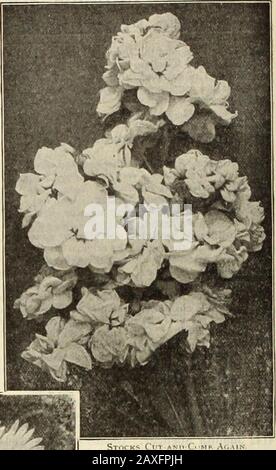 dreers-garden-book-seventy- dreers-garden-book-seventy-