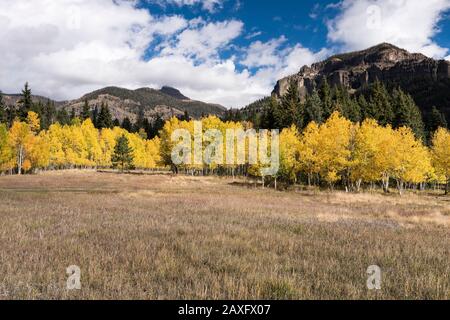 Cimarrona Campground is north of Pagosa Springs Colorado.  Hiking trails take off from the campground into Weminuche Wilderness. Stock Photo