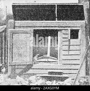 Poultry culture sanitation and hygiene . *?!«)* Fig. 164.—The mother and her brood. (Iowa Experiment Station.) provided with a thermoregulator. It is essential to providesufficient ventilation to allow fresh air, so the chicks have the. Fig. 165.—A colony brooder house. The hover is in the center of the house. proper amount of oxygen and to allow the escape of pollutedair containing carbon dioxid given off from the body of the 440 POULTRY CULTURE chicks. The ventilator must be so constructed that there willnot be a draft on the birds. The most common cause of the small oil hovers catchingon fi Stock Photo