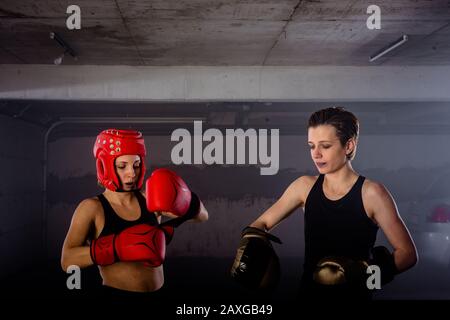 inside boxing gloves