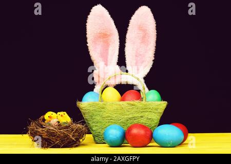 Bird nest with little toy chicks near basket with colourful handmade Easter eggs and several red and blue eggs outside of it put on yellow table and isolated on black background. Easter decorations Stock Photo