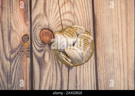Tea bags in a glass vase on a wooden background. Close up Stock Photo