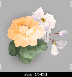 Bouquet of roses Stock Vector