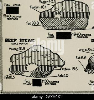 https://l450v.alamy.com/450v/2axh0k1/twenty-lessons-in-domestic-science-a-condensed-home-study-course-glossary-of-usual-culinary-terms-pronunciations-and-definitions-marketing-food-principles-functions-of-food-methods-of-cooking-etc-ash-water-fuel-valuesah-equalsicoo-calories-pork-chop-coble-portion-t283-smoked-ham-co0x-portion-fat301-2axh0k1.jpg