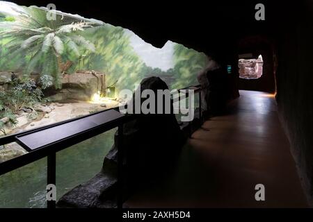 SYRACUSE, NEW YORK - FEB 05, 2020: Interior View of Rosamond Gifford Zoo or as Locally Known (Syracuse Zoo) Aquarium. Stock Photo