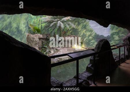 SYRACUSE, NEW YORK - FEB 05, 2020: Interior Closeup View of Rosamond Gifford Zoo or as Locally Known (Syracuse Zoo) Aquarium. Stock Photo